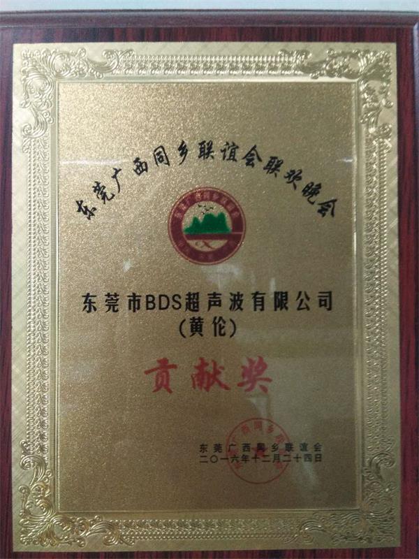 廣西同鄉(xiāng)聯(lián)誼會貢獻(xiàn)獎